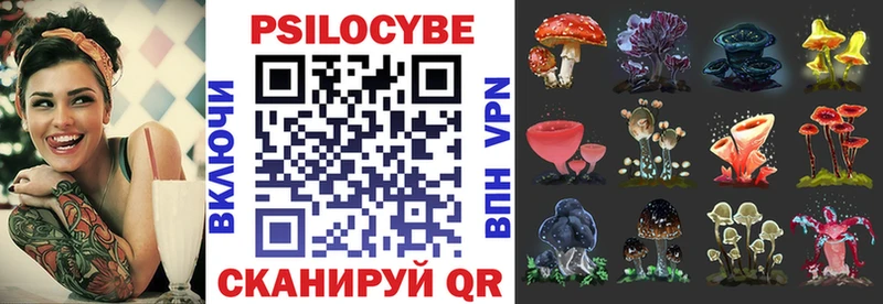 цены   Усть-Кут  Псилоцибиновые грибы Psilocybe 